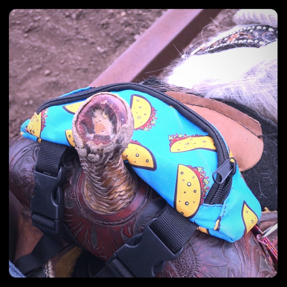 🐴 🌮 LIMITED EDITION 🌮🐴 FT Saddle Sack